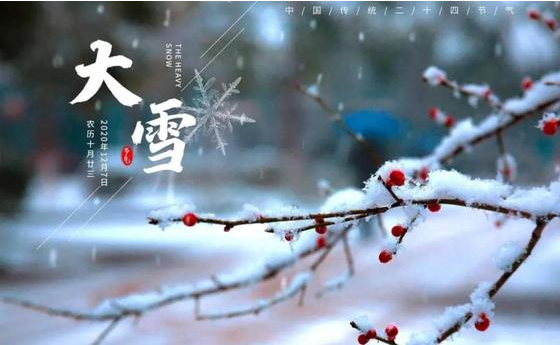 大雪|一年岁暮风雪始，静候春风万物生